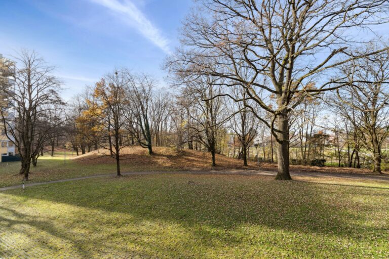 2,5-Zimmer-Wohnung mit Balkon